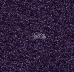 Грязезащитные покрытия Forbo Coral Brush 5709 royal purple фото 1 | FLOORDEALER